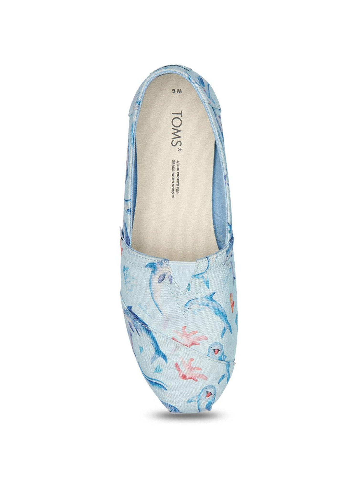 TOMS Women's Alpargata Cloudbound Sky Blue Casual Shoes