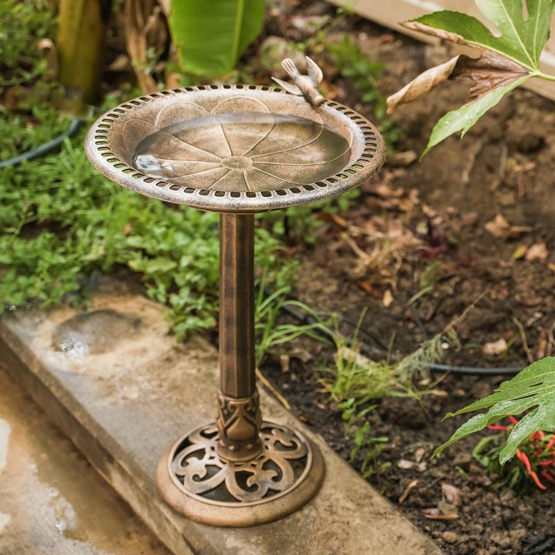 24" Lightweight Plastic Outdoor Birdbath and Feeder Bronze - XBrand