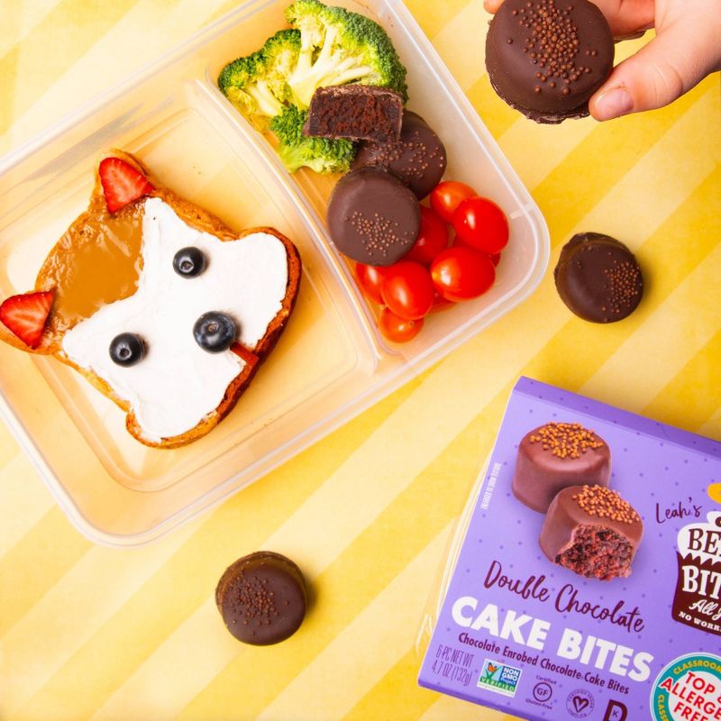 Better Bites Gluten Free Double Chocolate Chip Cake Bites - 6ct