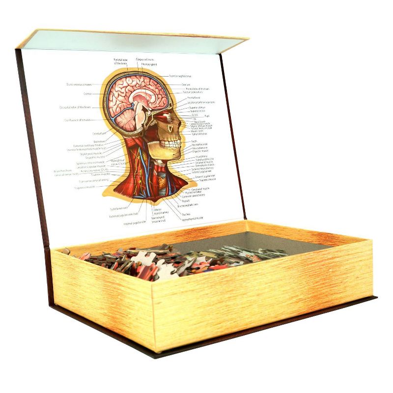 Genius Games Dr. Livingston's Human Anatomy: The Human Head Jigsaw Puzzle - 538pc