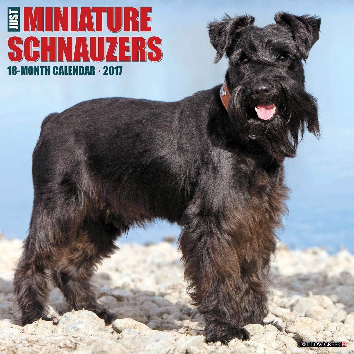 Miniature Schnauzers 2017 Wall Calendar