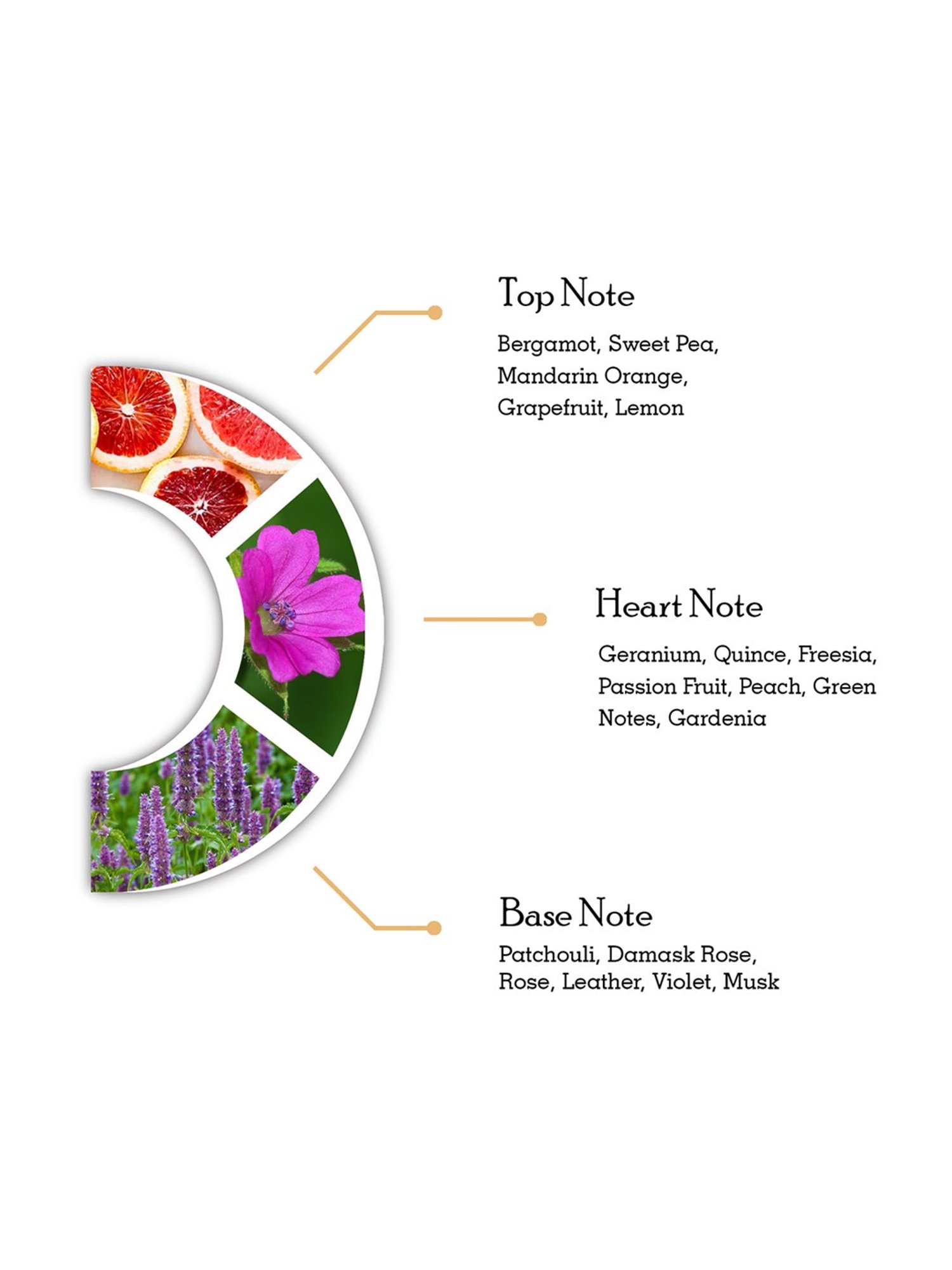 Dorall Collection Always On My Mind Eau de Toilette Spray for Women - 100 ml