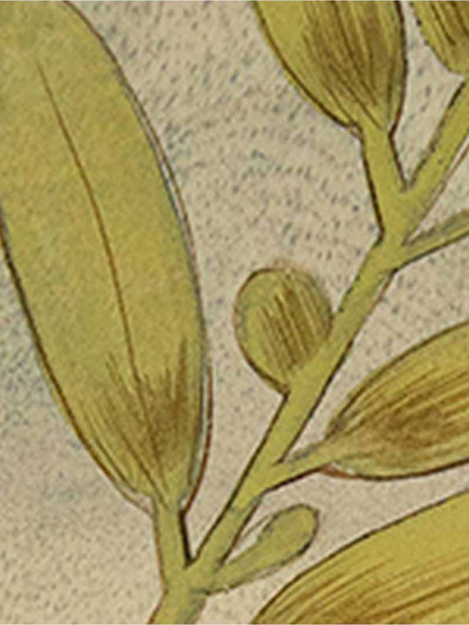 2ct Tiered Tray White - Bullseye's Playground™