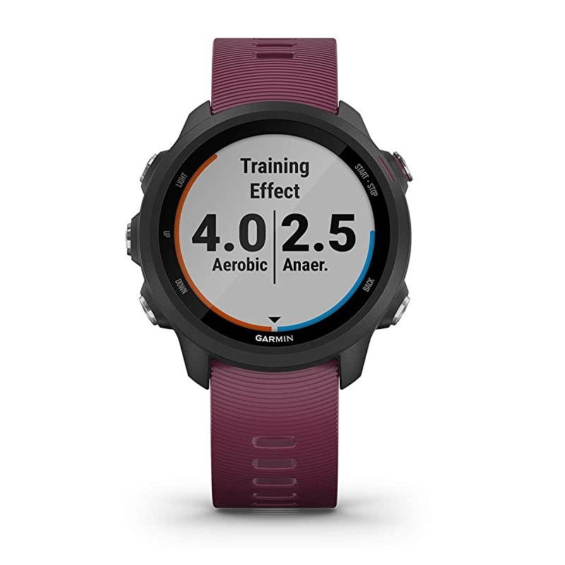 Garmin Forerunner 245 (Berry) Power Bundle | +HD Screen Protectors &  Portable Charger | Advanced Analytics, Heart Rate | Running GPS Watch | 010-02120-01