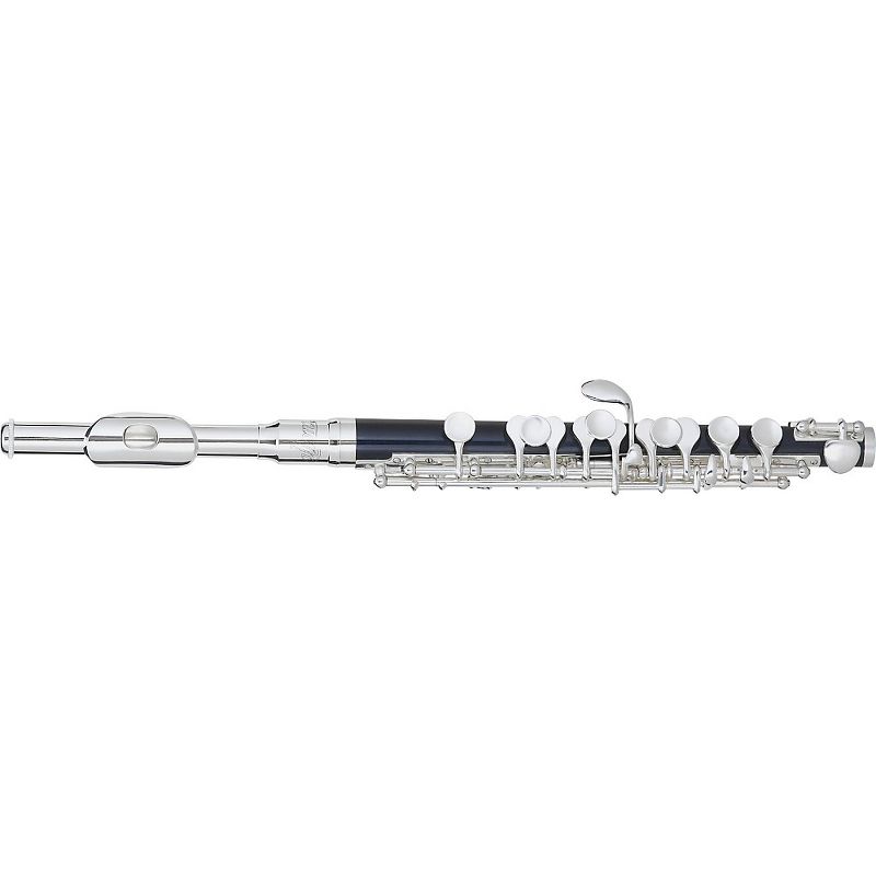 Allora AFL-250 Student Series Flute Offset G C-Foot