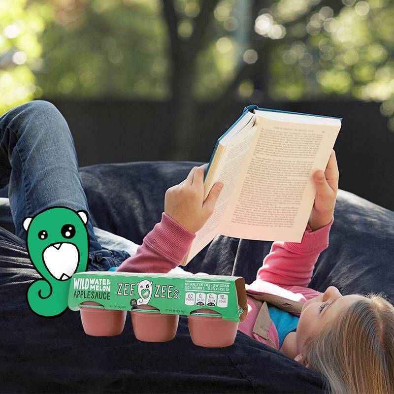 Zee Zees Wild Watermelon Applesauce - 6ct/24oz