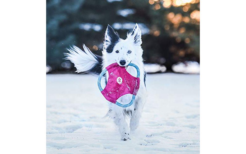 NERF Blitz Squeak Football Dog Toy - Green - 7"