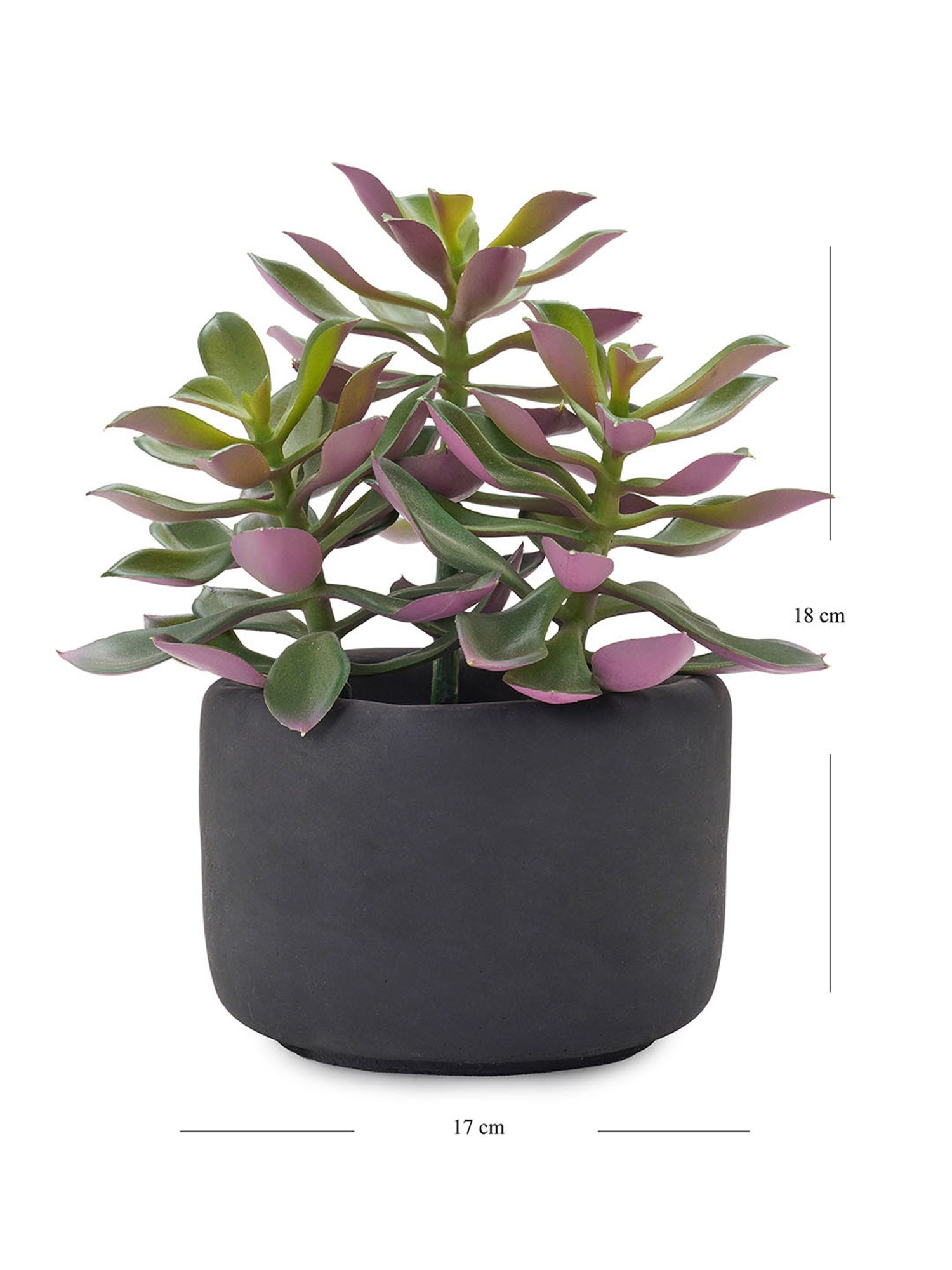 Pure Home and Living Green Plastic Succulents