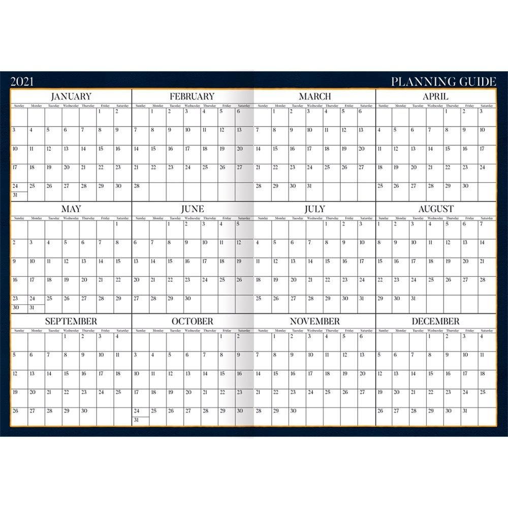 Lang Companies,  American Cat Monthly Planner by Lowell Herrero 2021