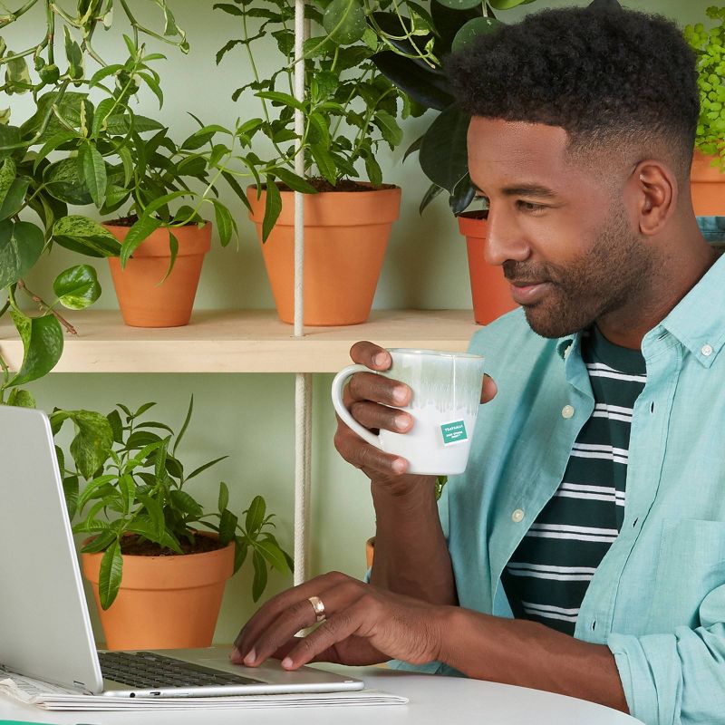 Teavana Jade Citrus Mint Tea Bags - 15ct/1.2oz