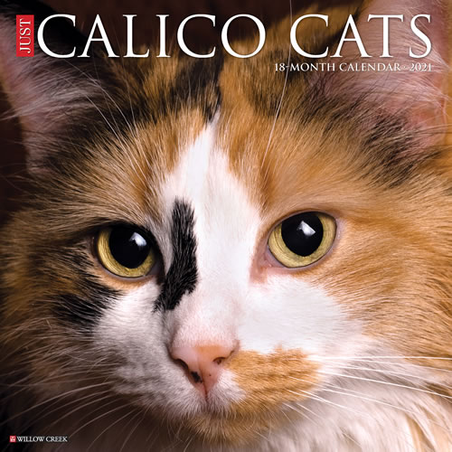 2021 Calico Cats Wall