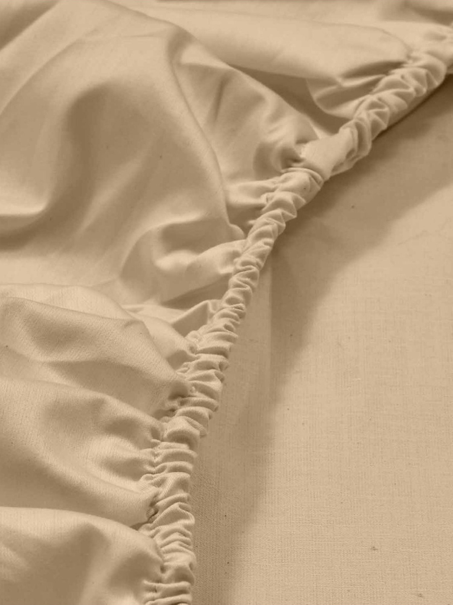 Haus & Kinder Solid Beige 300 TC Cotton Bed Sheet with 1 Pillow Cover