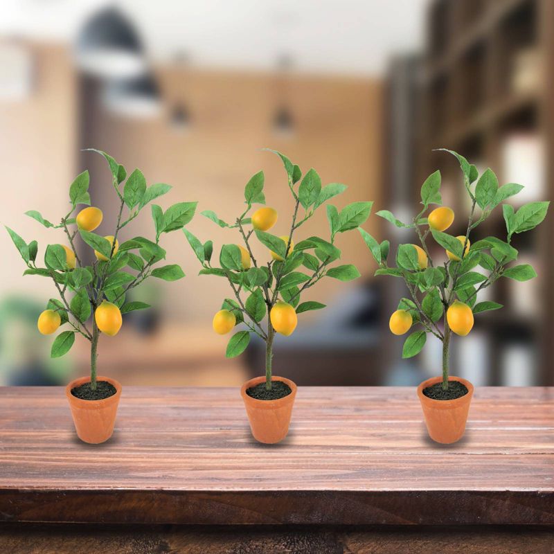 Set of 3 Artificial Lemon Plant in Pots - LCG Florals
