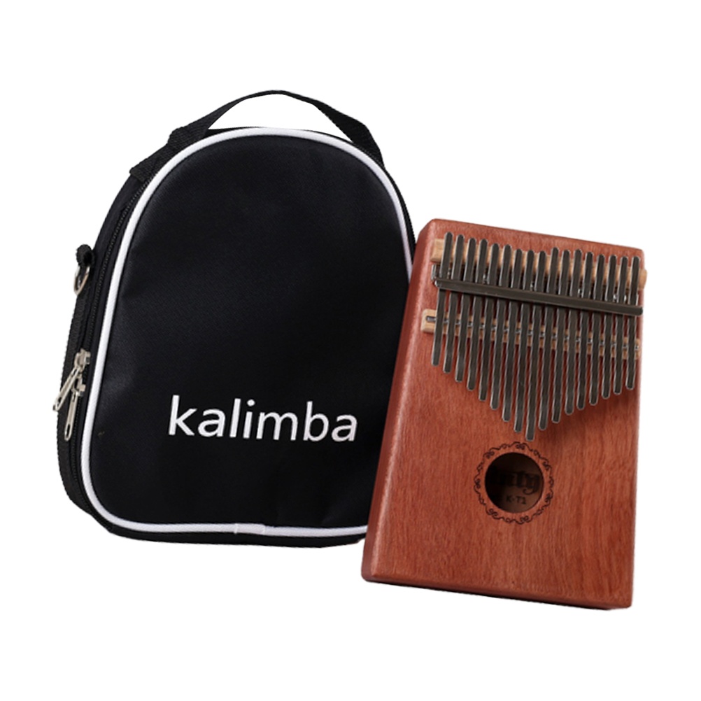 Paiste Rude Wild Crash Cymbal 17 in.