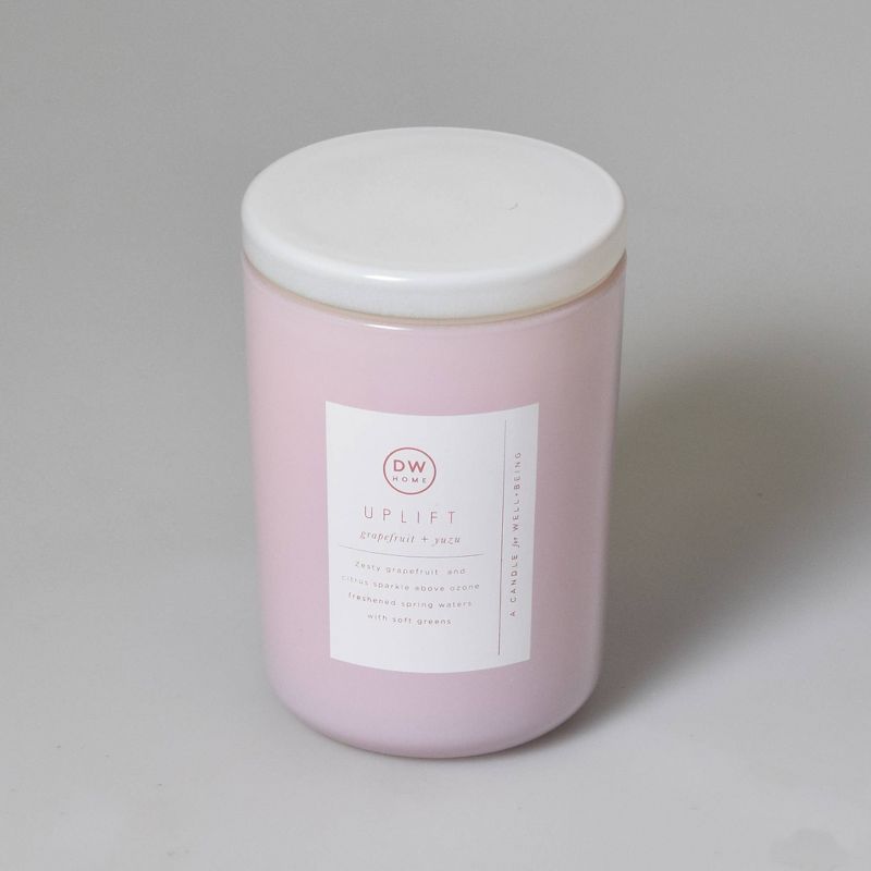 8oz Wellness Spa/Uplift Grapefruit and Yuzu Candle - DW Home