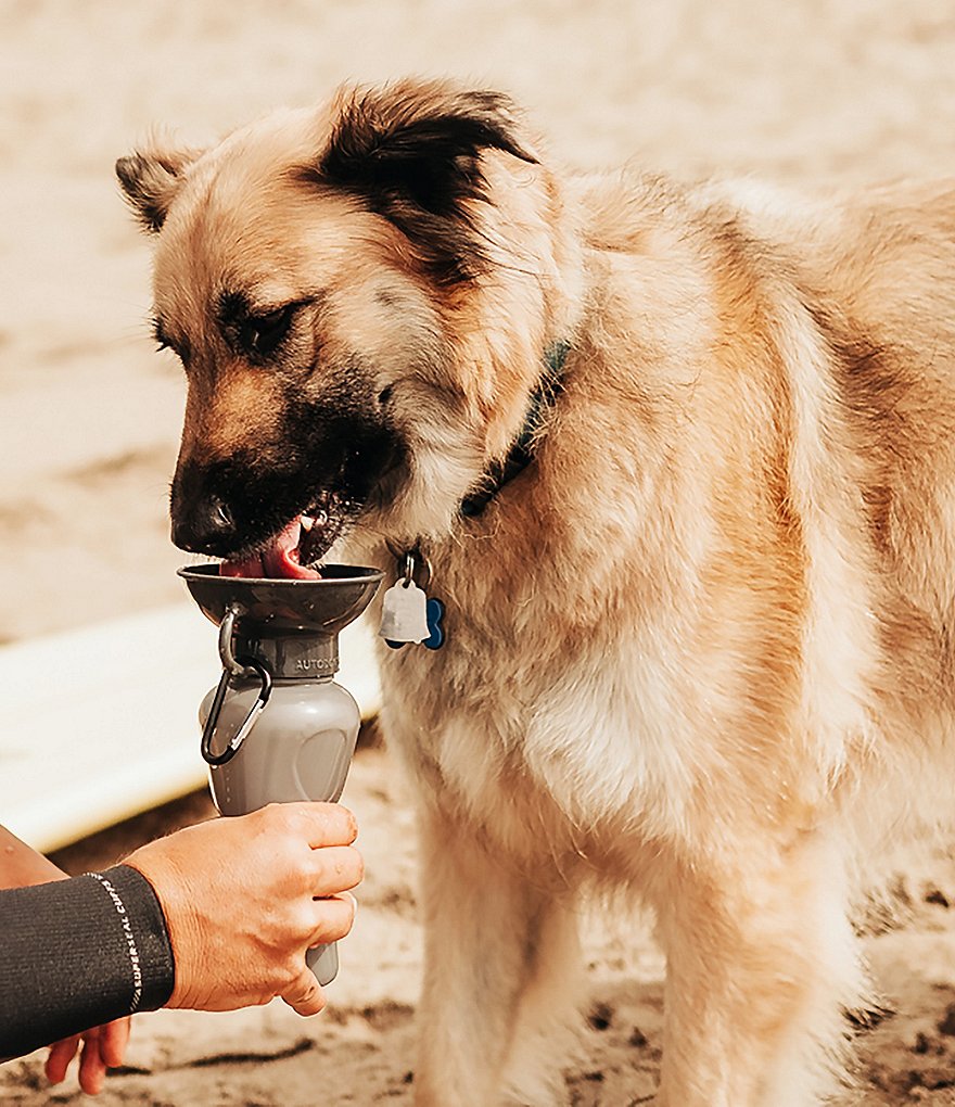 Hype HIGHWAVE AutoDogMug&reg; Leak-Tight