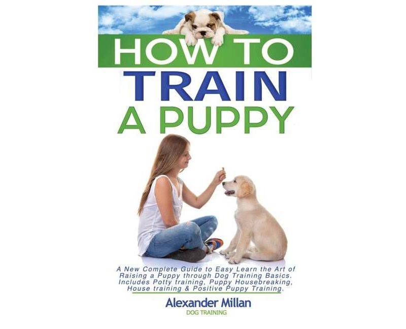 How to Train a Puppy - by  Alexander Millan Dog Training (Paperback)