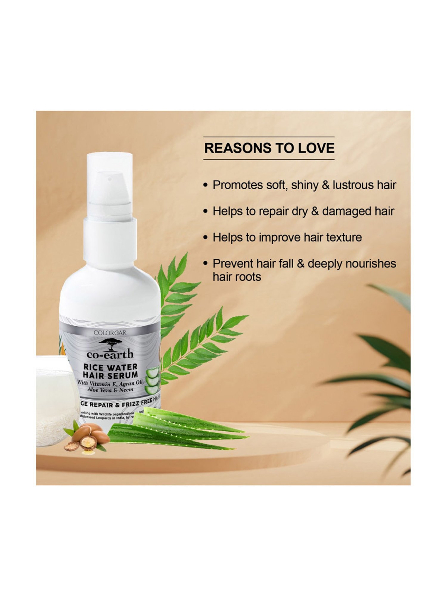 Kin Cosmetics Kinessences Nourish Oil Cream 50 ml