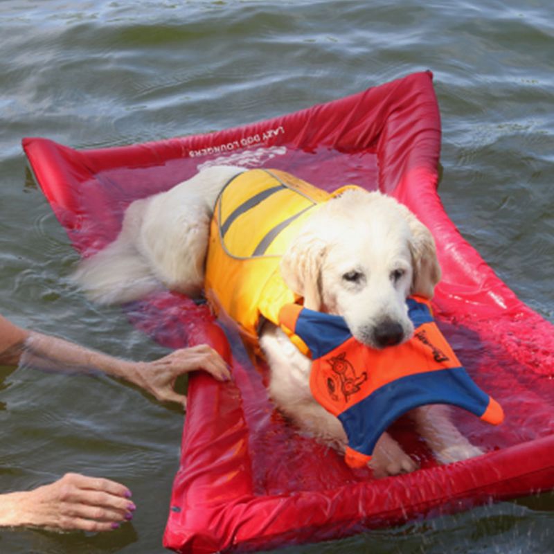 The Better Options Company Red Lazy Dog Pool Lounger and Lake Raft Floating River Swim Mat for Big Dogs Up to 110 Pounds, Large