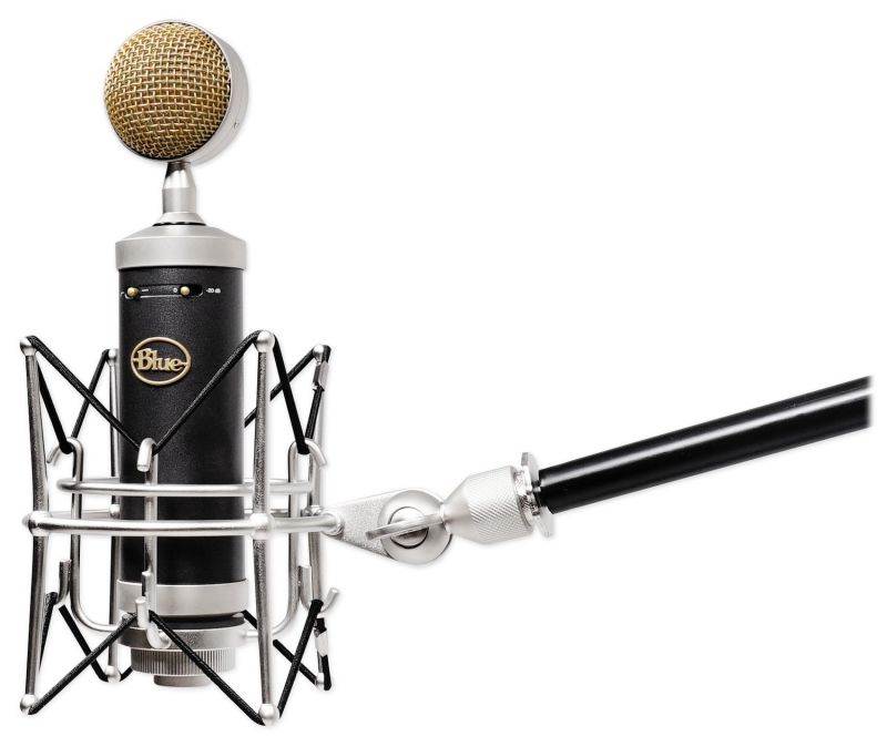 BLUE Baby Bottle SL Large-Diaphragm Studio Condenser Microphone