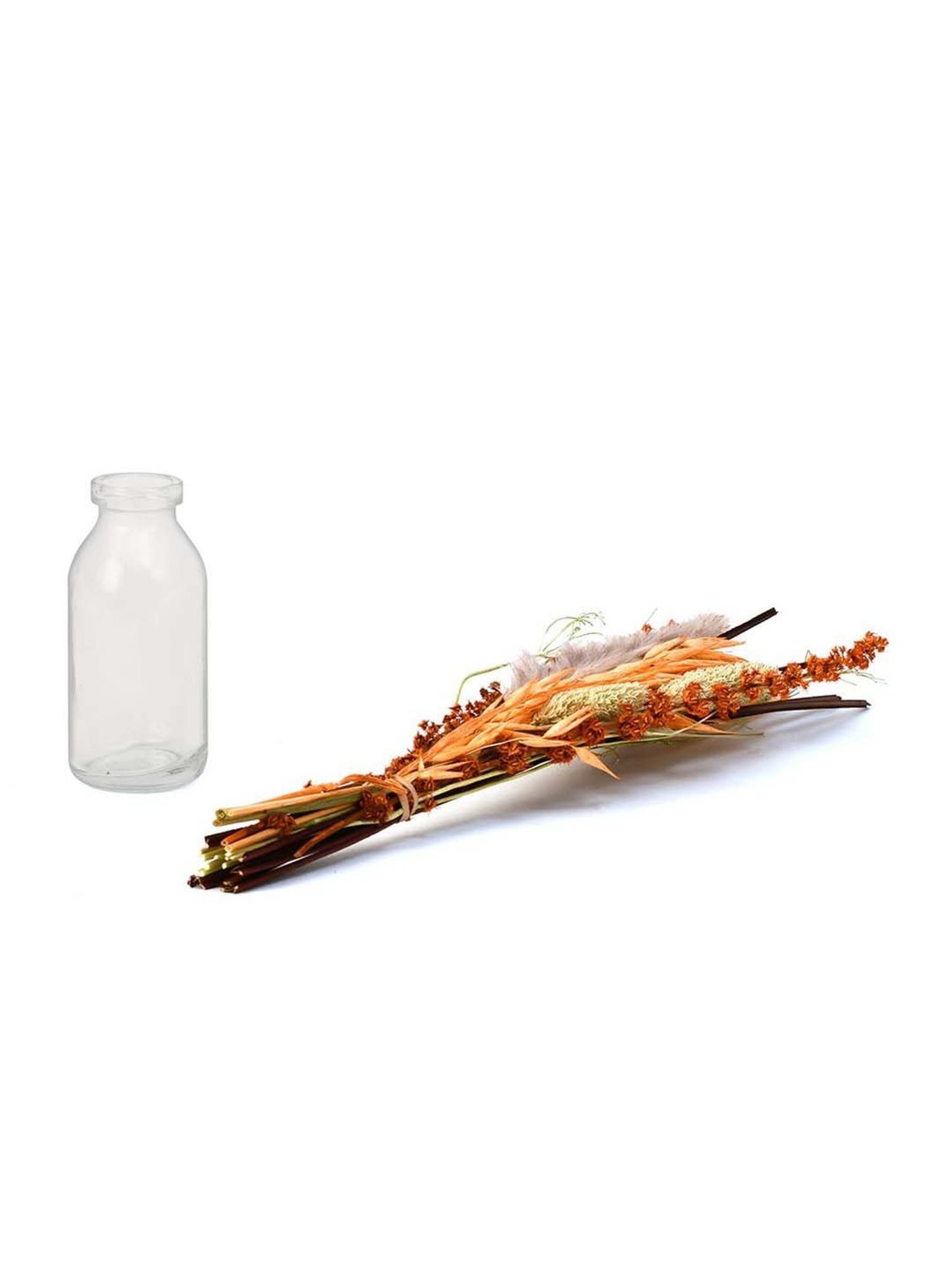 @home by Nilkamal Arias Decorative Glass Vase with Dry Flowers (Transparent & Brown)