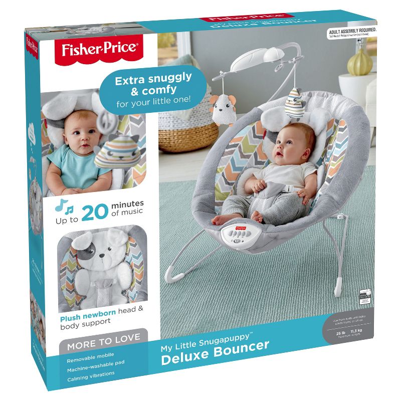 ​Fisher-Price Baby Bouncer