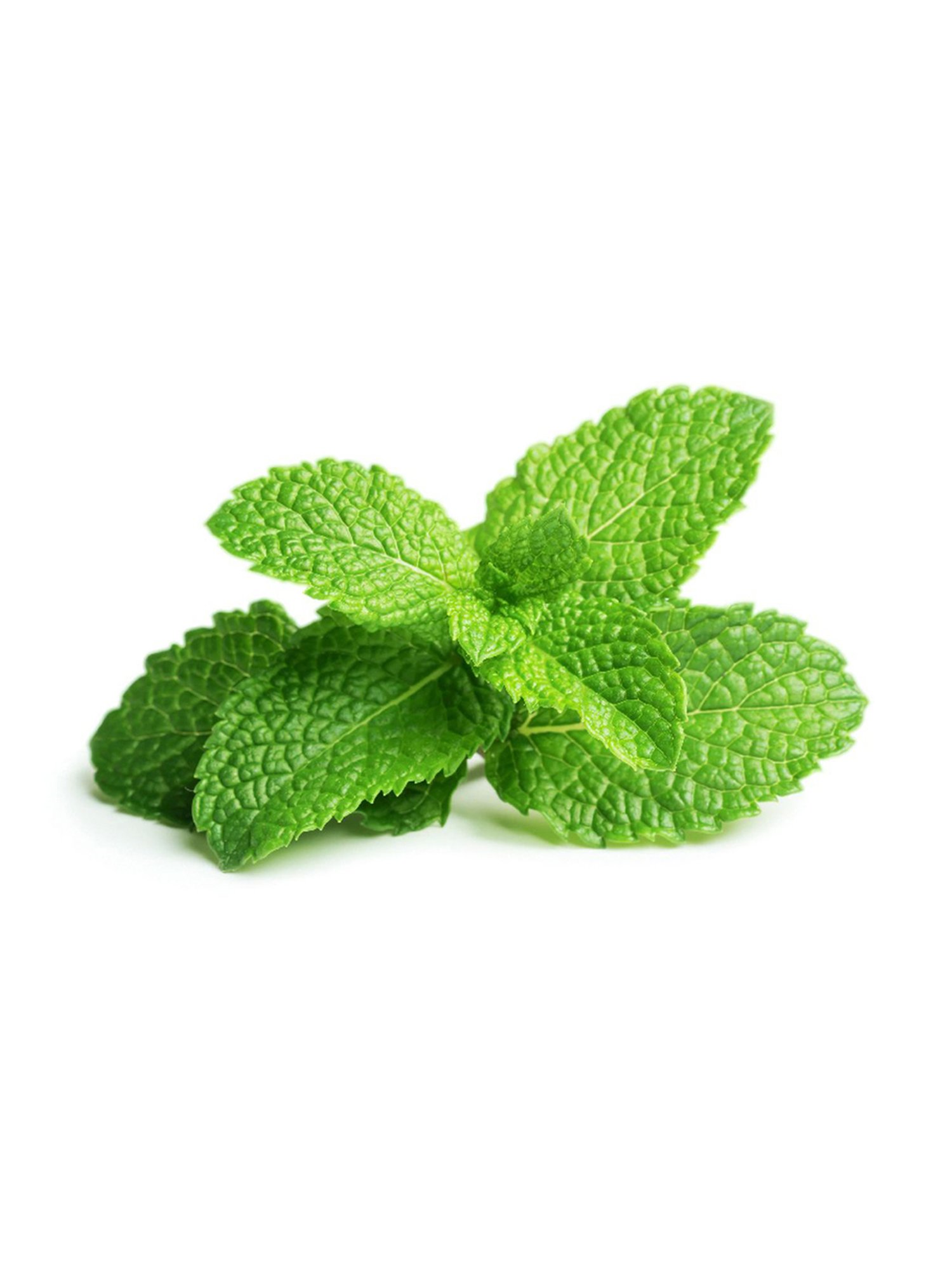 CLEAN AND DRY Intimate Wash - 189 ml