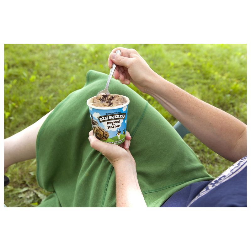 Ben & Jerry's Brewed to Matter Ice Cream - 16oz