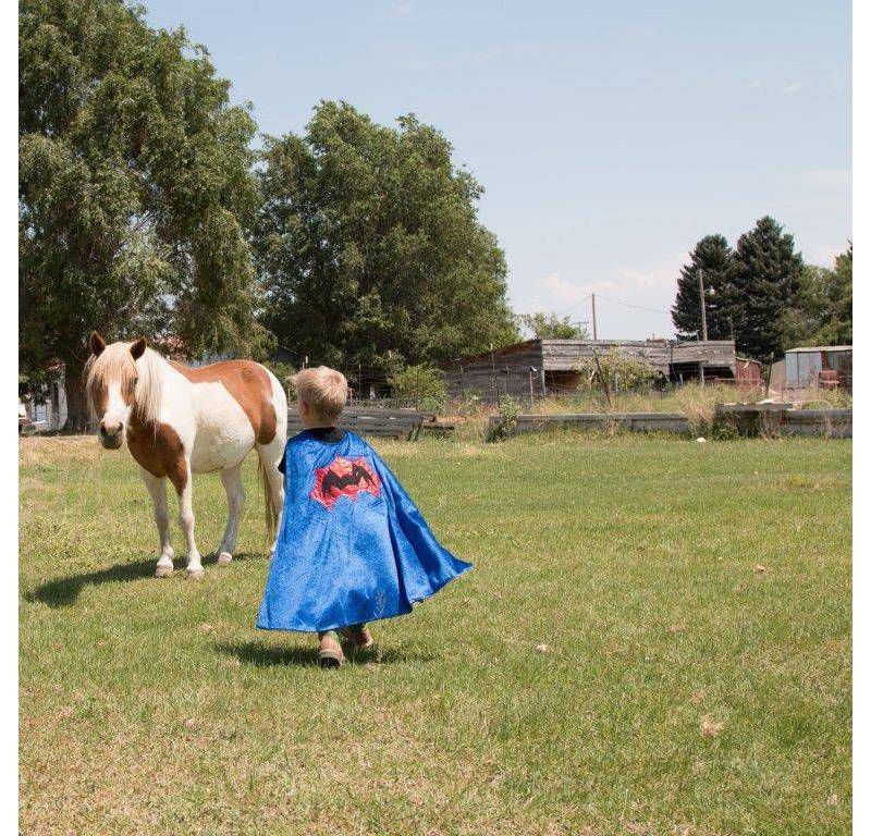 Little Adventures Boys' Spider Cape with Power Mask - Red/Blue