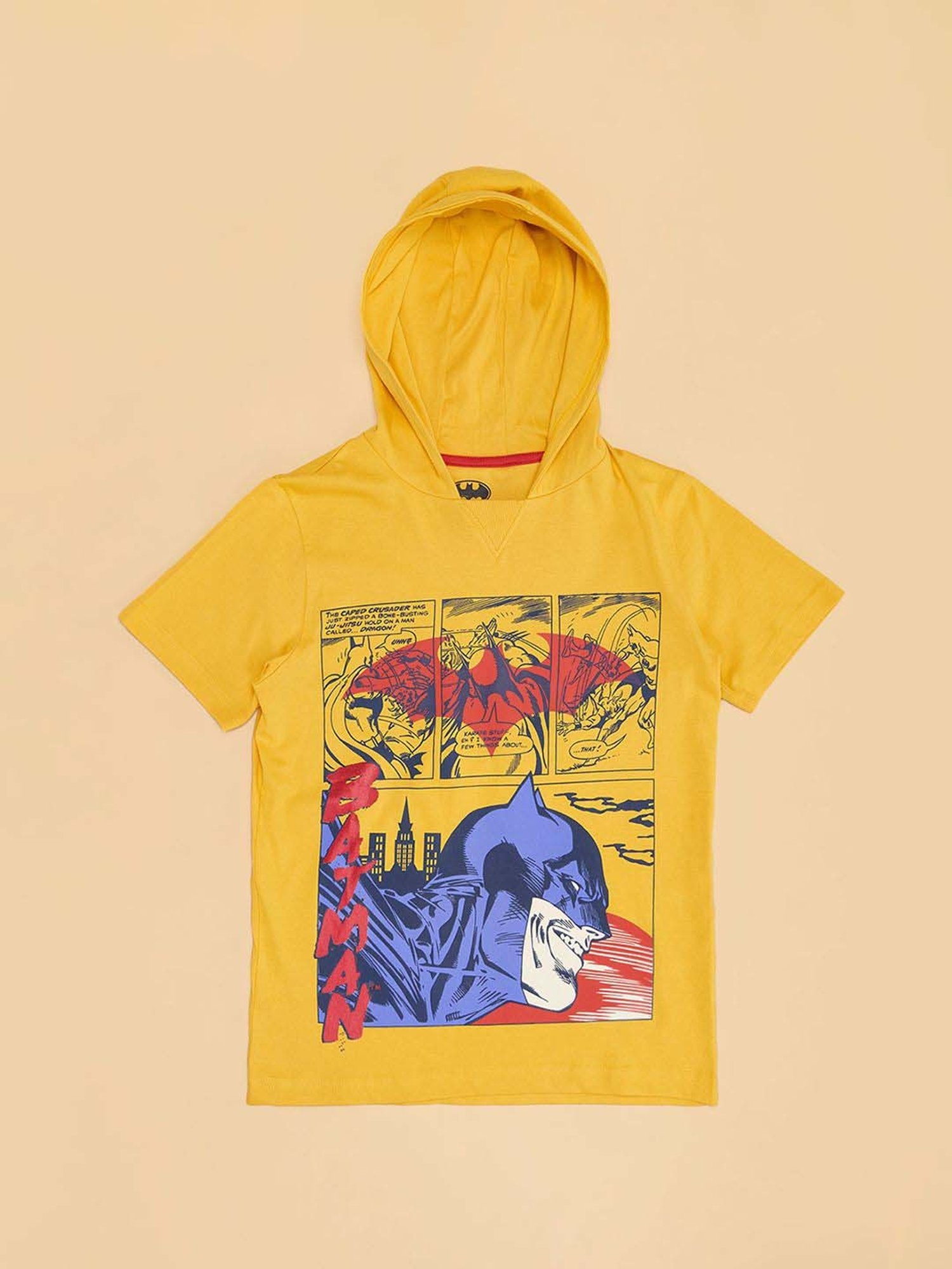 Pantaloons Baby Kids Dandelion Cotton Regular Fit T-Shirt