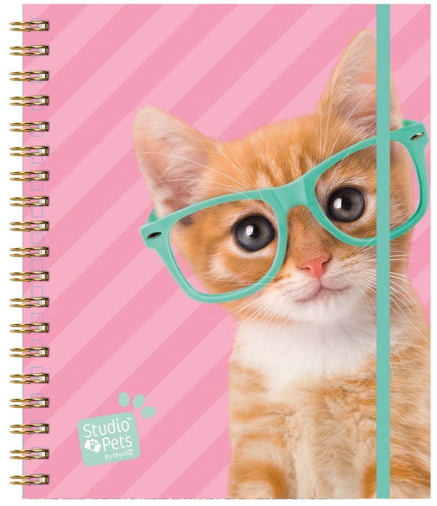 Turner Licensing,  Kittens Perpetual Calendar by Studio Pets