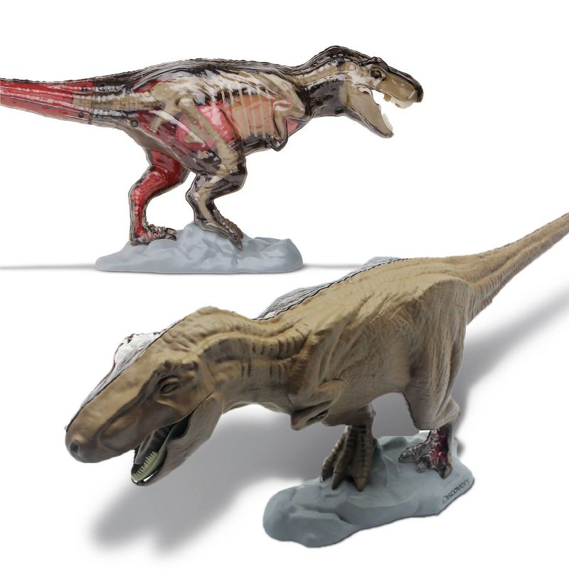 Discovery Kids Toy Anatomy T-Rex Kit Science Kit