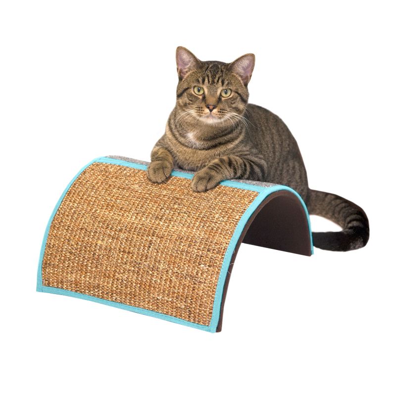 PETKIT Flying Fish Cat Scratcher - White/Blue
