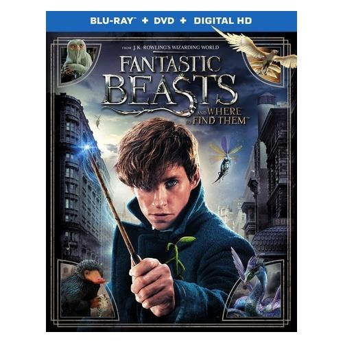 Fantastic Beasts & Where to Find Them Blu-Ray Combo Pack Blu-Ray/DVD/Digital