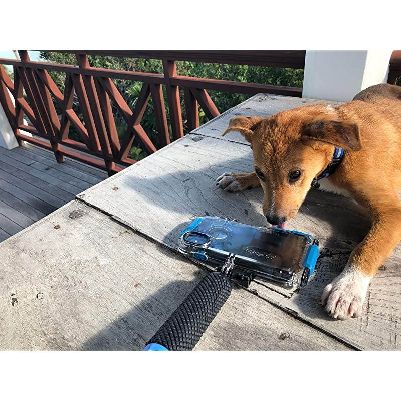 Touch Waterproof Case Compatible with iPhone Xs Max and Compatible with All GoMounts 12Month Protection Plan for Your iPhone