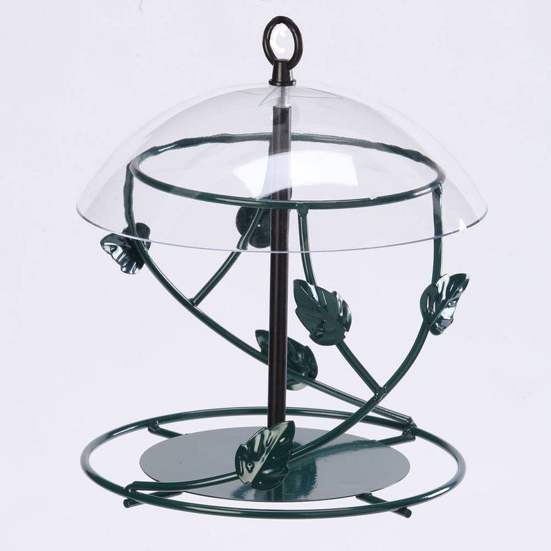 Birds Choice Hanging Seed Cylinder Bird Feeder