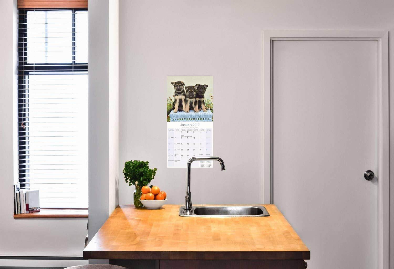German Shepherd Puppies Calendar 2019 - Dog Breed Calendar - Wall Calendar 2018-2019