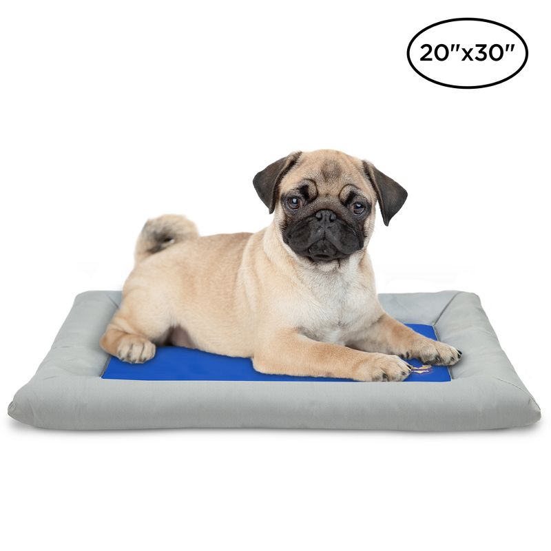 Arf Pets Dog Self Cooling Bed Pet Bed - Solid Gel Based Self Cooling Mat for Pets, Includes a Foam Based Bolster Bed for Extra Comfort, 20" x 30"