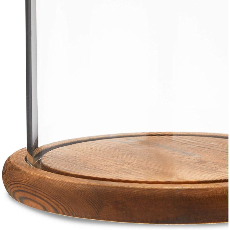 Farmlyn Creek Bell Glass Cloche Dome for Plants, Food, and Candles, Arts and Crafts (5.1 x 5.1 x 10 In)