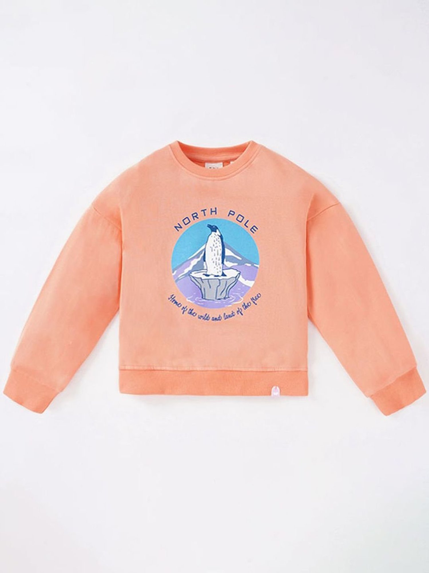 Ed-a-Mamma Kids Orange Cotton Printed Full Sleeves Sweatshirt
