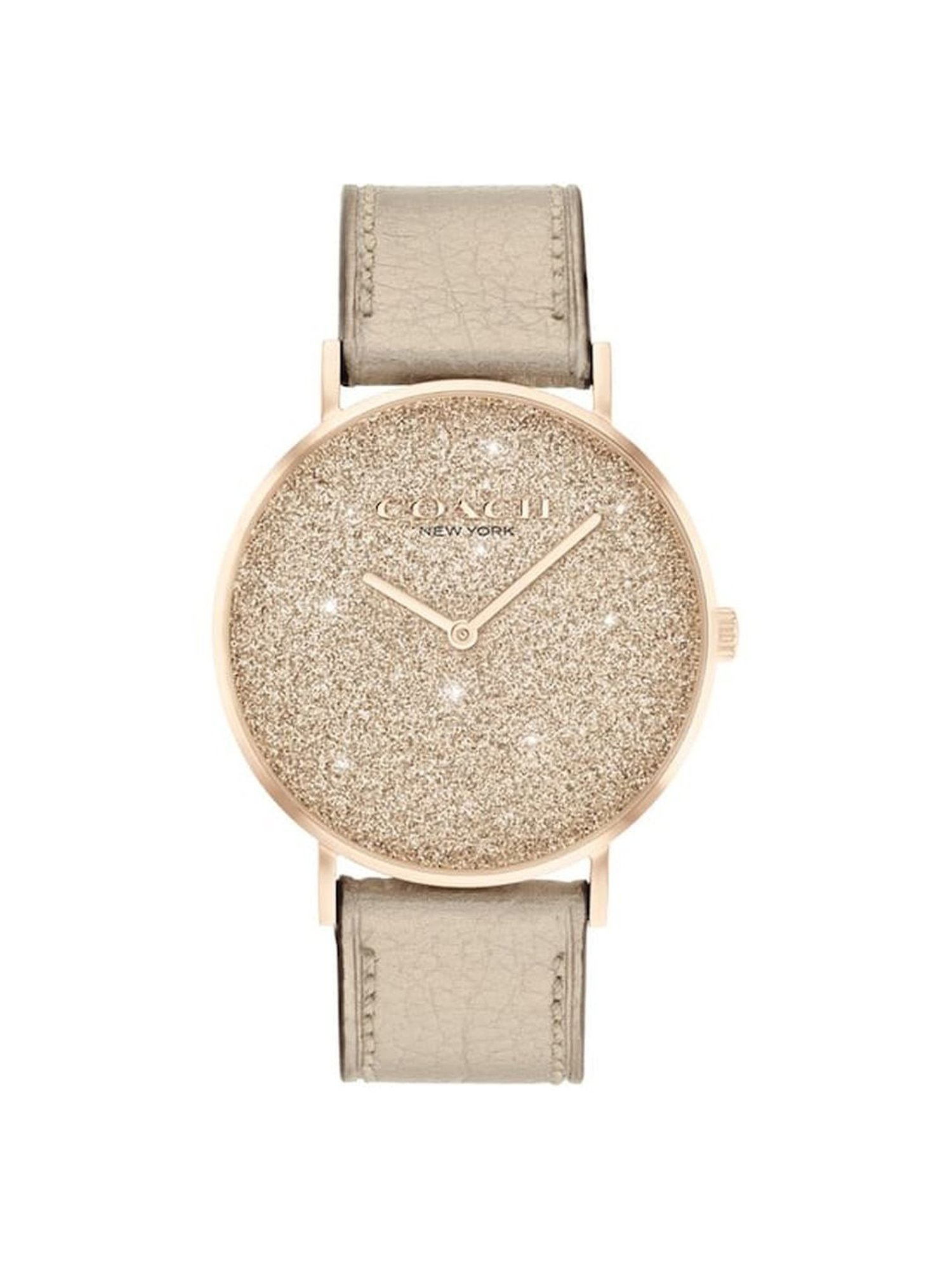 Coach NECO14504077W  Analog Watch for Women