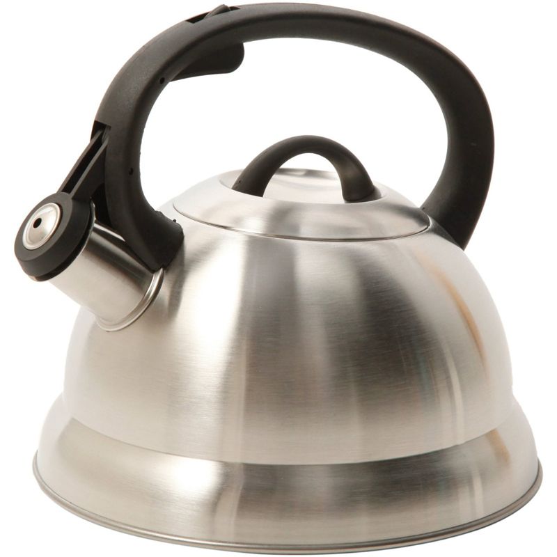 Mr. Coffee 2 Quart Stainless Steel Whistling Tea Kettle with Nylon Handle