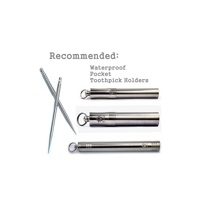 BetterLife Titanium Reusable Toothpick Durable EDC Outdoor Tool (Milled, Bold, TM02)