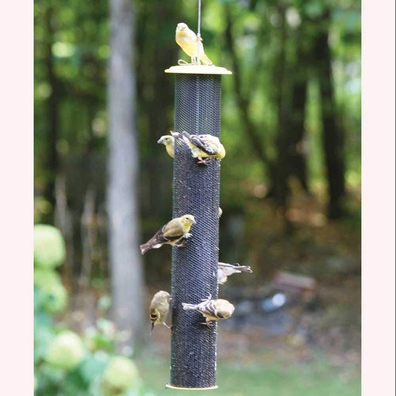 Birds Choice 2-1/4qt Magnet Mesh Tube Finch Feeder