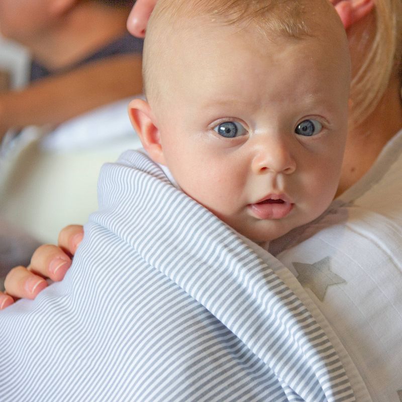 Living Textiles Baby Swaddle Blanket Gray Marl + Gray Heathered Stripes - 2pk