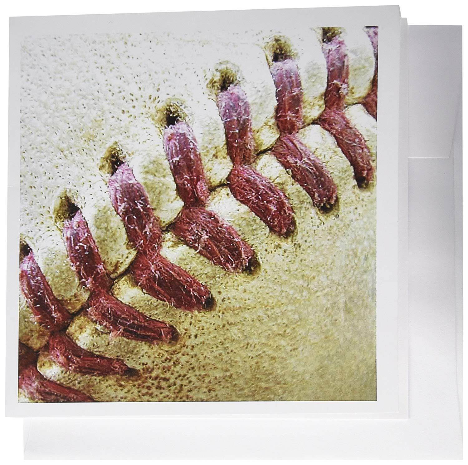 3dRose Closeup Red Seams On Baseball - Greeting Cards, 6 x 6 inches, set of 12 (gc_47841_2)