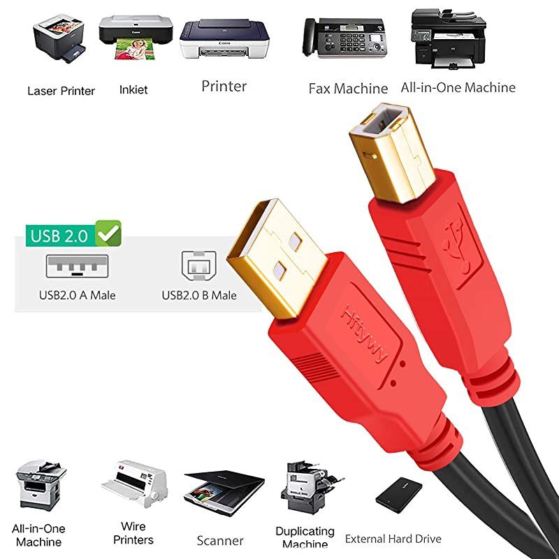 Printer Cable1ft 2Pack USB Printer Cable  USB 20 Printer Scanner Cable USB Type A Male to B Male Cord for HP Canon Dell Lexmark Epson Xerox Samsung More Red