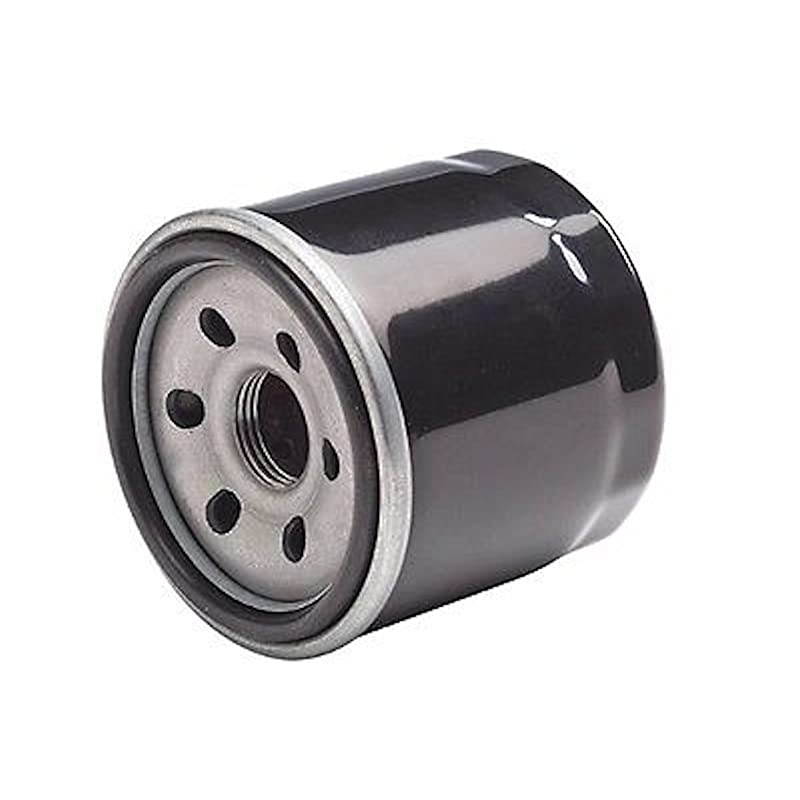 1367848 Oil Filter replaces 1204276