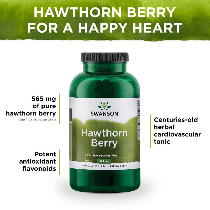 Swanson Hawthorn Berries Supplement | Supports Blood Pressure & Heart Health 250 Capsules, 565 mg each Hawthorne Berry Pills
