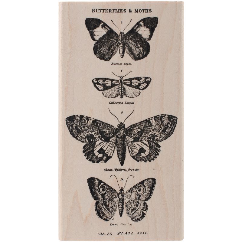 Tim Holtz Mounted Red Rubber Stamp 2.5"X5"-Butterflies & Moths 1